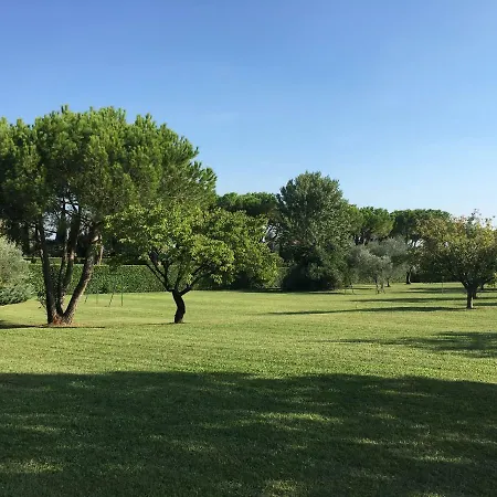 Apartment Clorofilla *