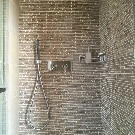 Clorofilla 代森扎诺-德尔加达