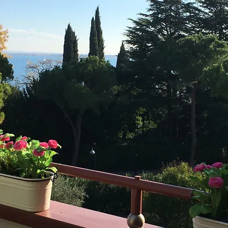 Clorofilla * 代森扎诺-德尔加达